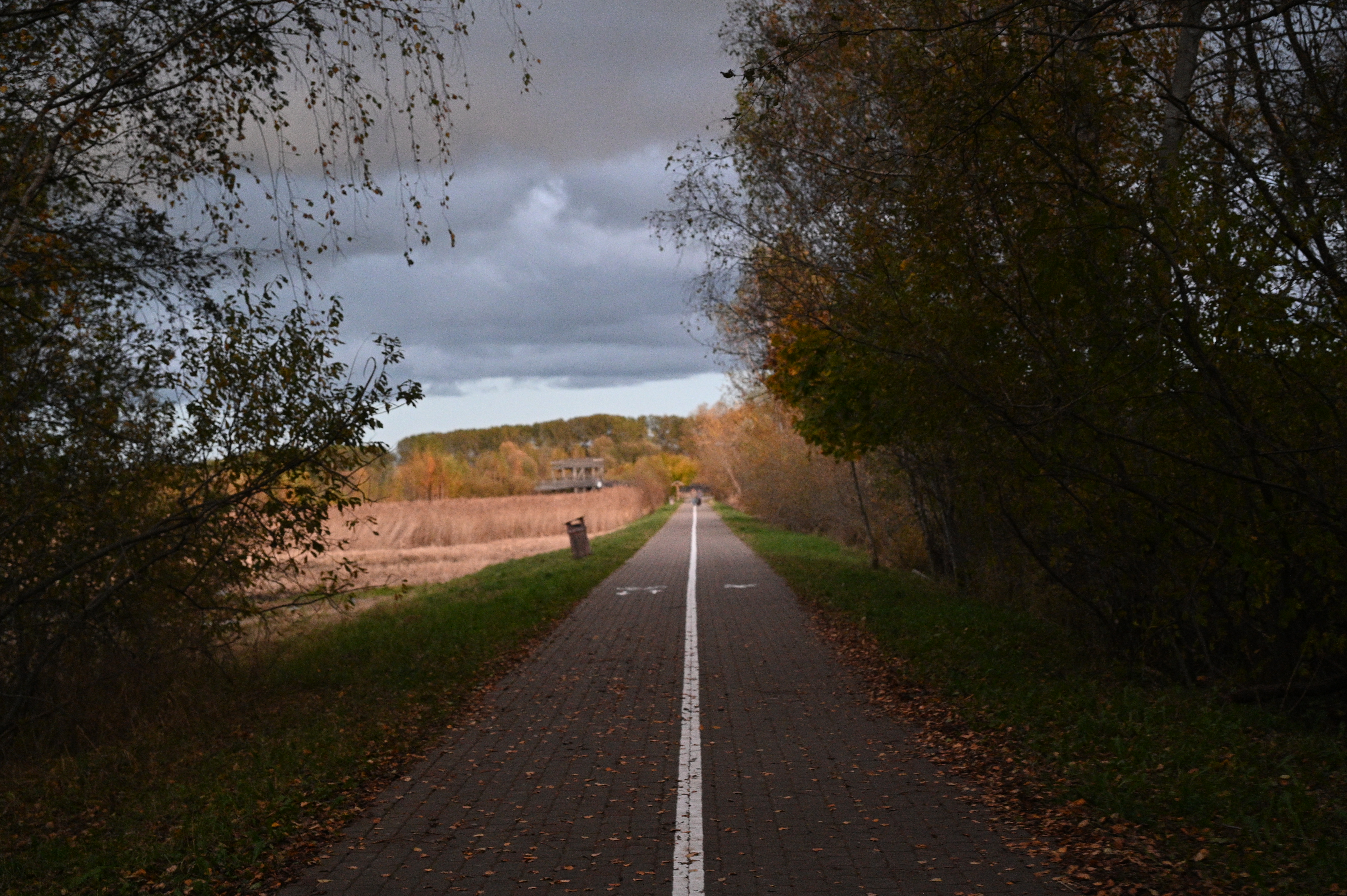 2025/10/18 - walk/DSC_0598.JPG